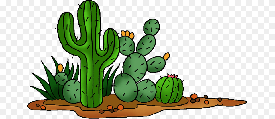 Cactus Cliparts, Plant Png