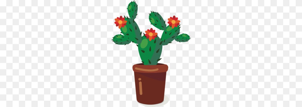 Cactus Computer Icons Prickly Pear Plants Succulent Plant, Potted Plant, Person Png