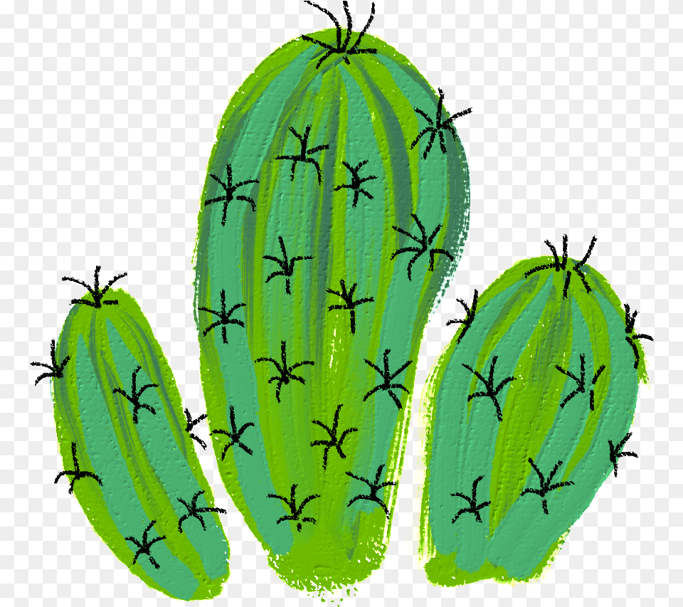 Cactus Desert Plant Green Spins Flower Decoration Banana, Food, Produce Free Transparent Png