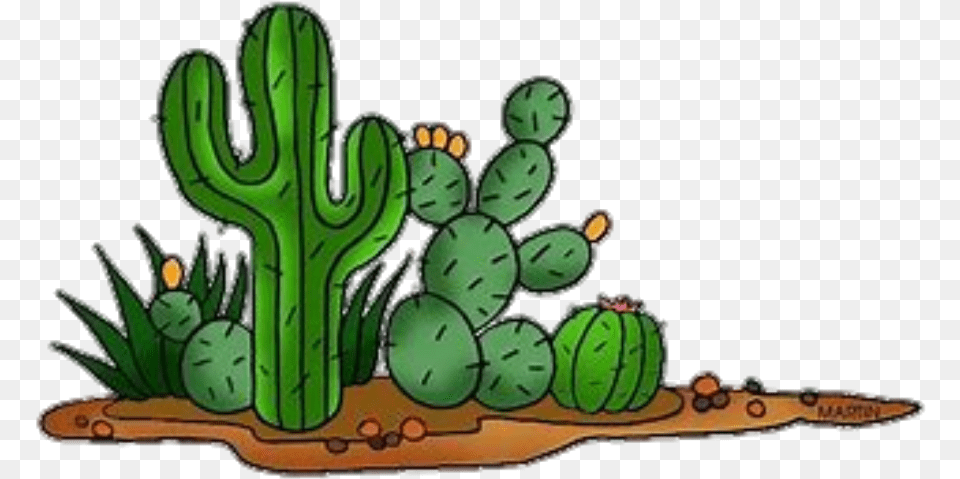 Cactus Desert Transparent Desert Cactus Clipart, Plant Png Image