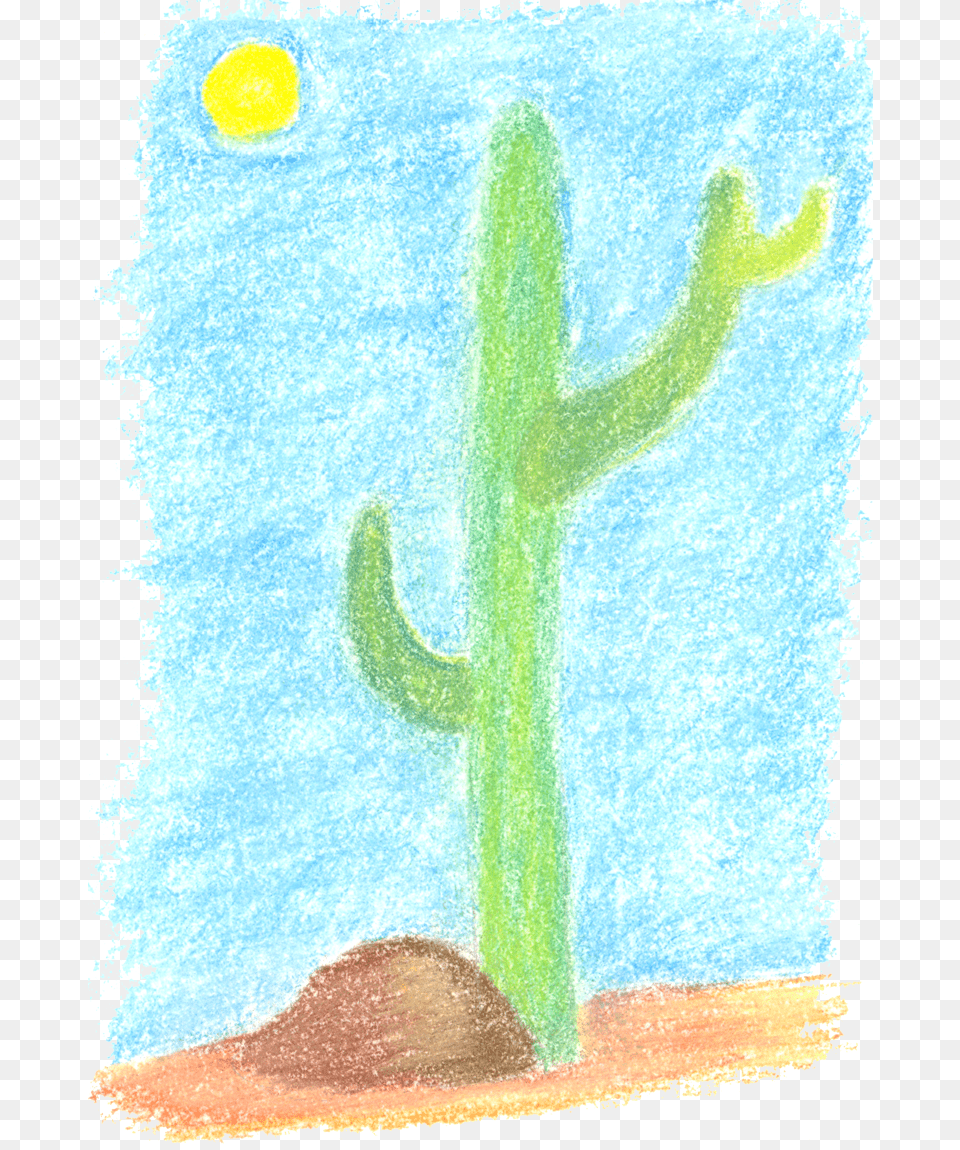 Cactus Drawing, Plant, Person Free Png Download