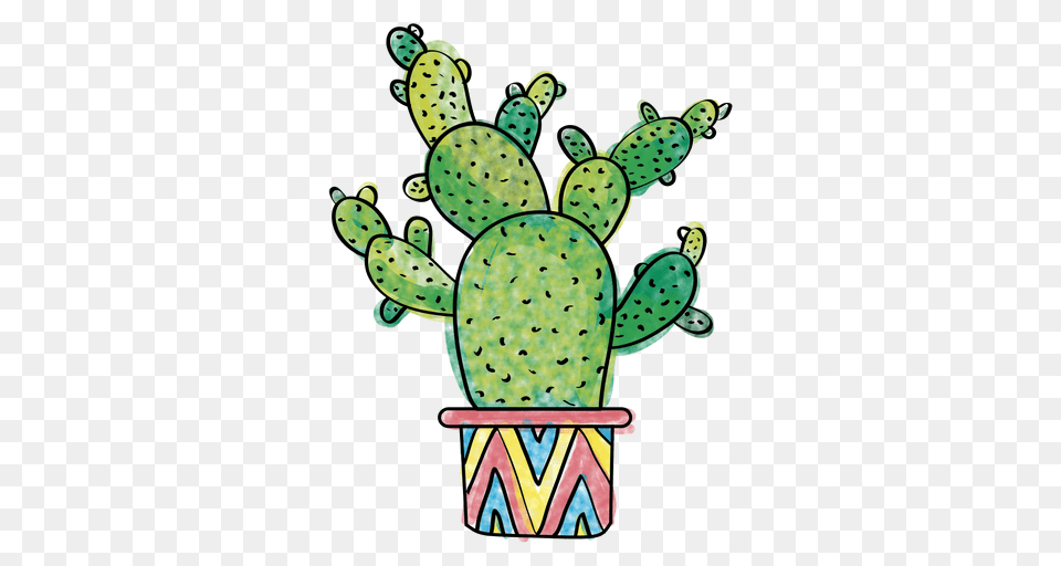 Cactus Drawing Image, Plant Free Transparent Png