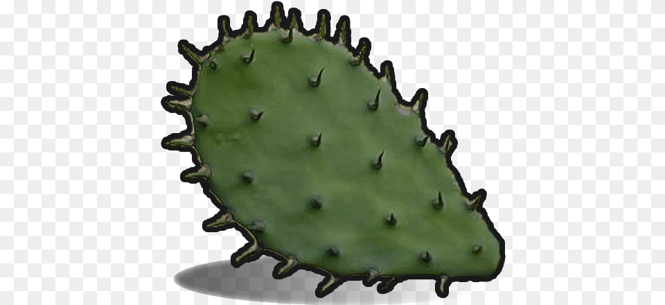 Cactus Flesh Rust Cactus, Plant Png