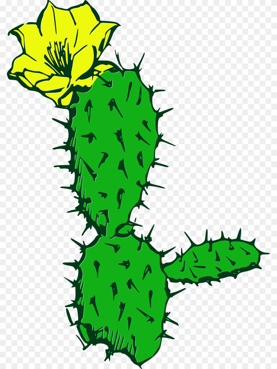 Cactus Flower Desert Plant Succulent Cacti Cactus, Baby, Person, Face, Head Free Png