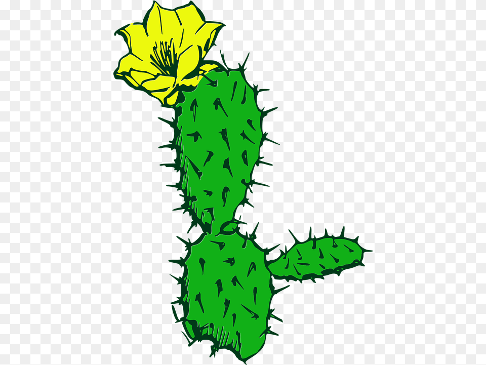 Cactus Flower Desert Vector Graphic On Pixabay Cartoon Cactus Flower, Person, Plant, Green Free Png Download
