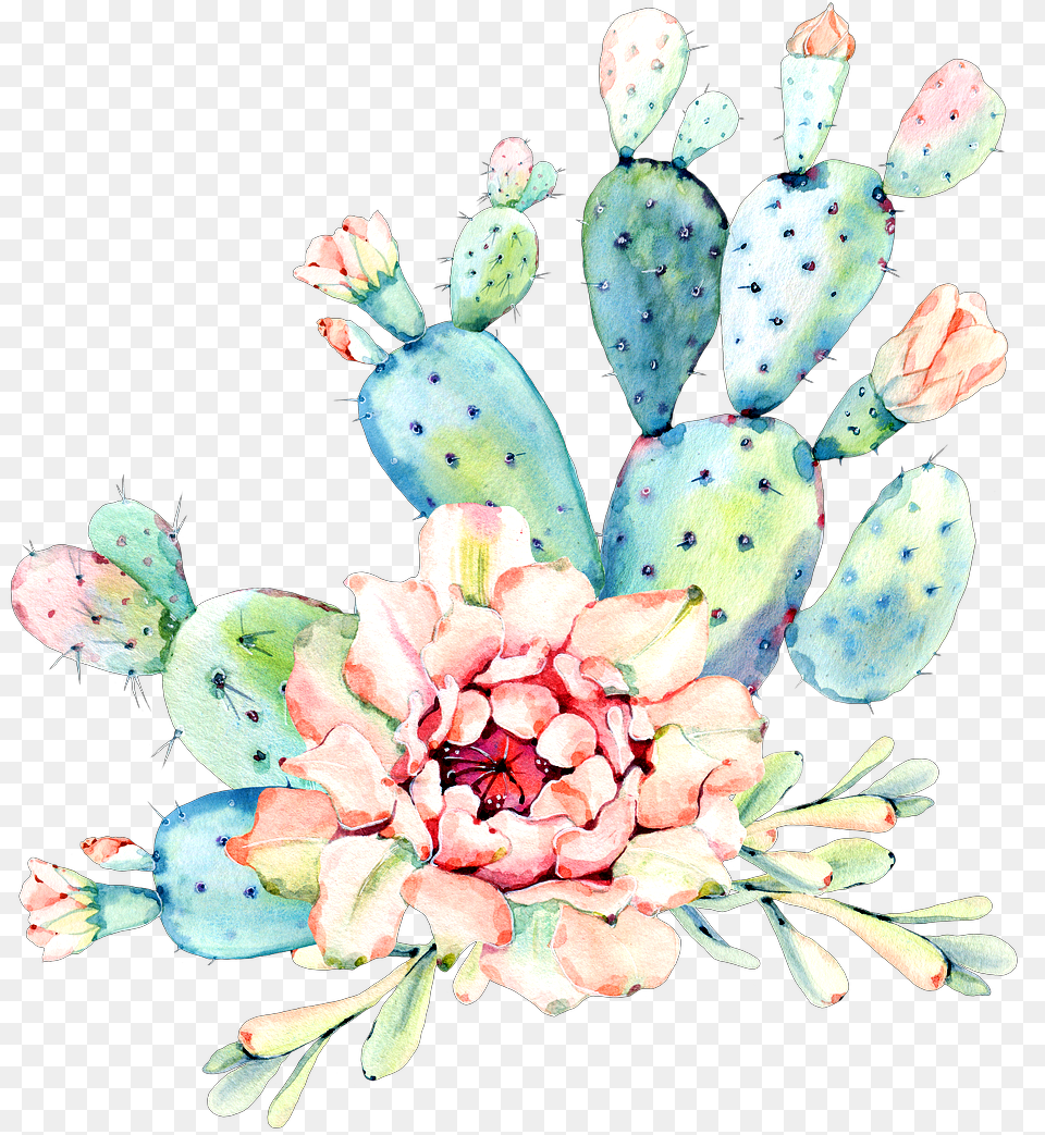 Cactus Flower Watercolor Art Desert Cactus, Plant, Petal, Flower Bouquet, Flower Arrangement Free Transparent Png