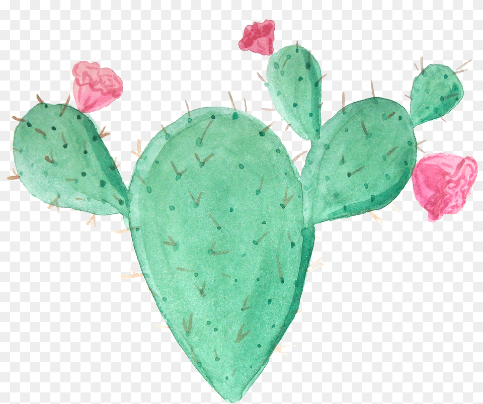 Cactus Ftestickers Cactus Free Png