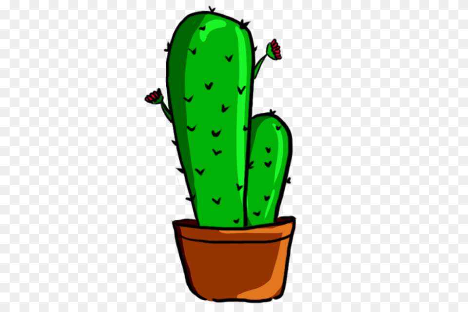 Cactus Green Plant And For, Baby, Person, Face, Head Png