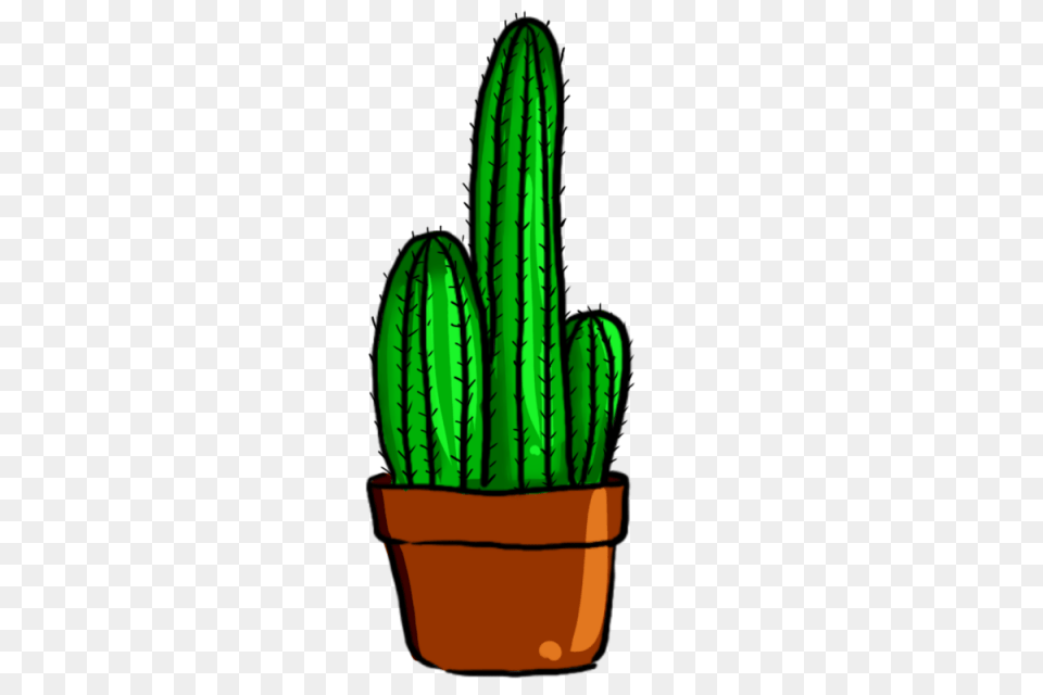 Cactus Green Plant And For Download Free Png