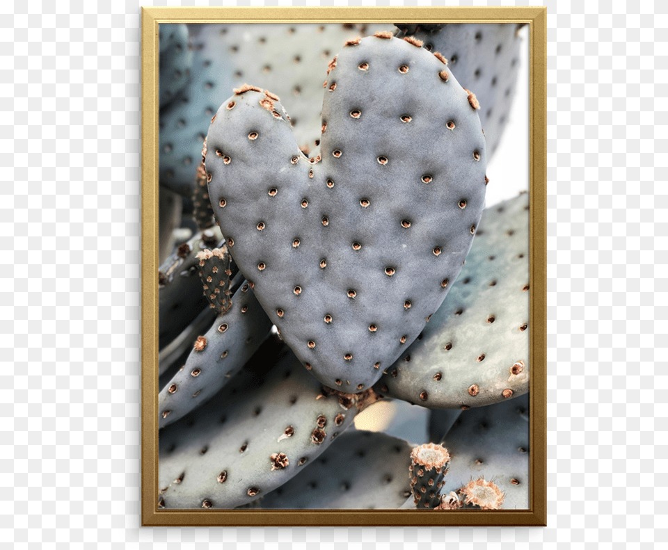 Cactus Hearts Art Print Barbary Fig, Plant Free Transparent Png