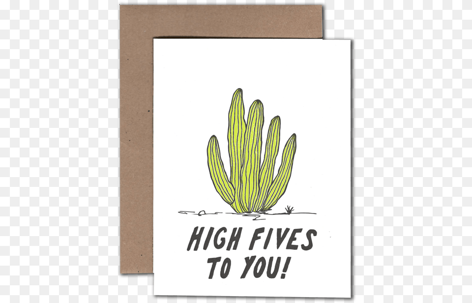 Cactus High Five Weed, Plant Png