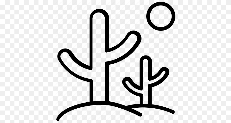 Cactus House Plant Natural Plant Succulent Icon Free Transparent Png