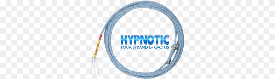 Cactus Hypnotic Head Cactus Ropes Hypnotic, Rope, Disk Free Png