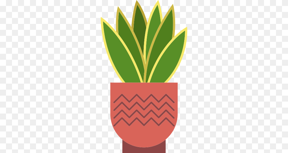 Cactus Icon, Leaf, Plant, Potted Plant, Jar Free Png Download