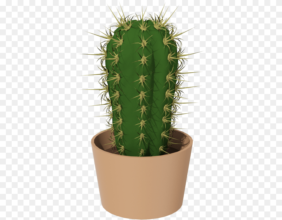 Cactus Image Kaktus, Plant Free Transparent Png