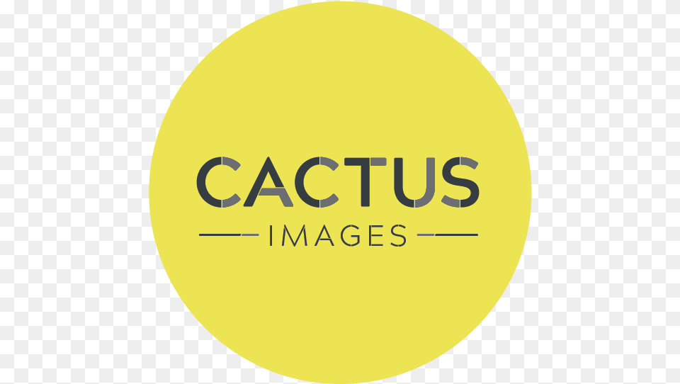 Cactus Images U2014 Marketing Derby Circle, Logo, Astronomy, Outdoors, Night Free Transparent Png