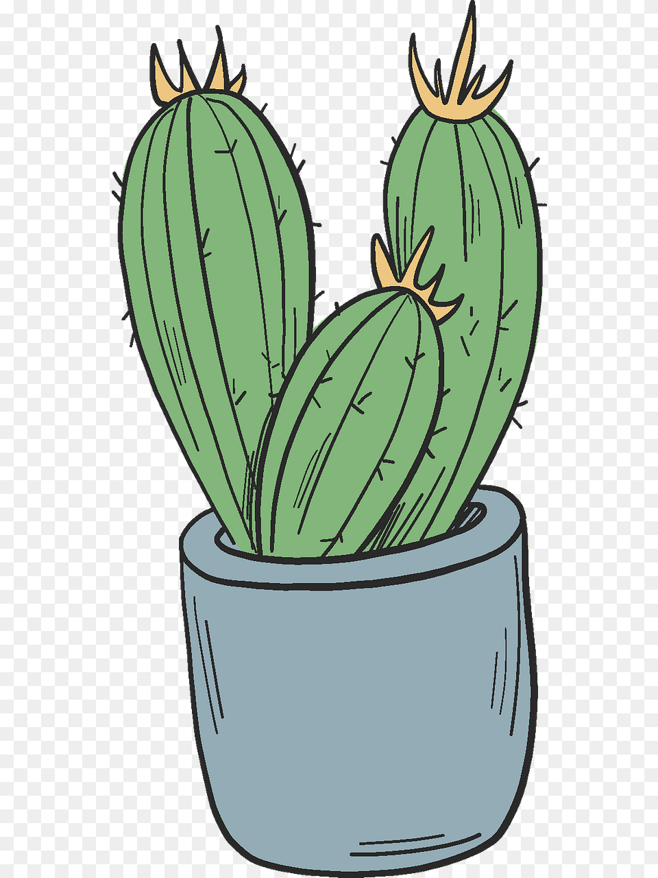 Cactus In A Pot Clipart, Plant Png Image