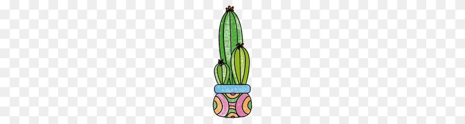 Cactus In Cactus Png