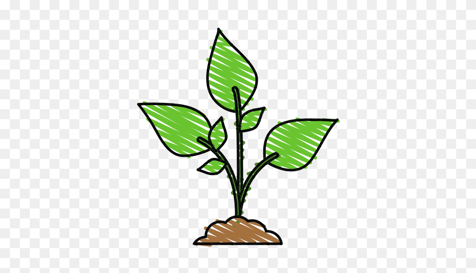 Cactus In Pot Plants Clip Art, Green, Herbal, Herbs, Leaf Png Image