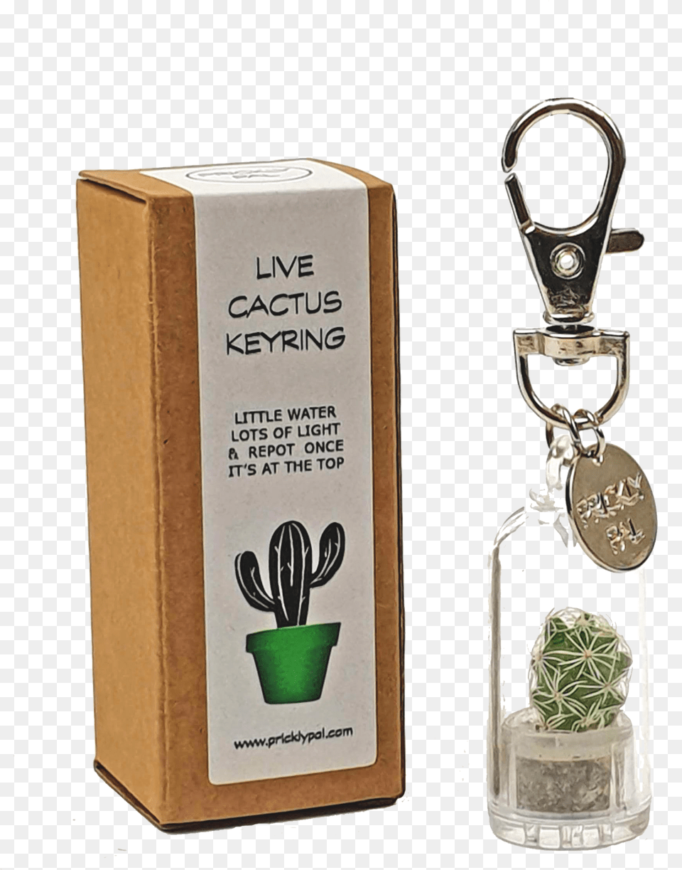 Cactus Keyrings Cactus, Potted Plant, Plant, Vase, Herbal Free Transparent Png