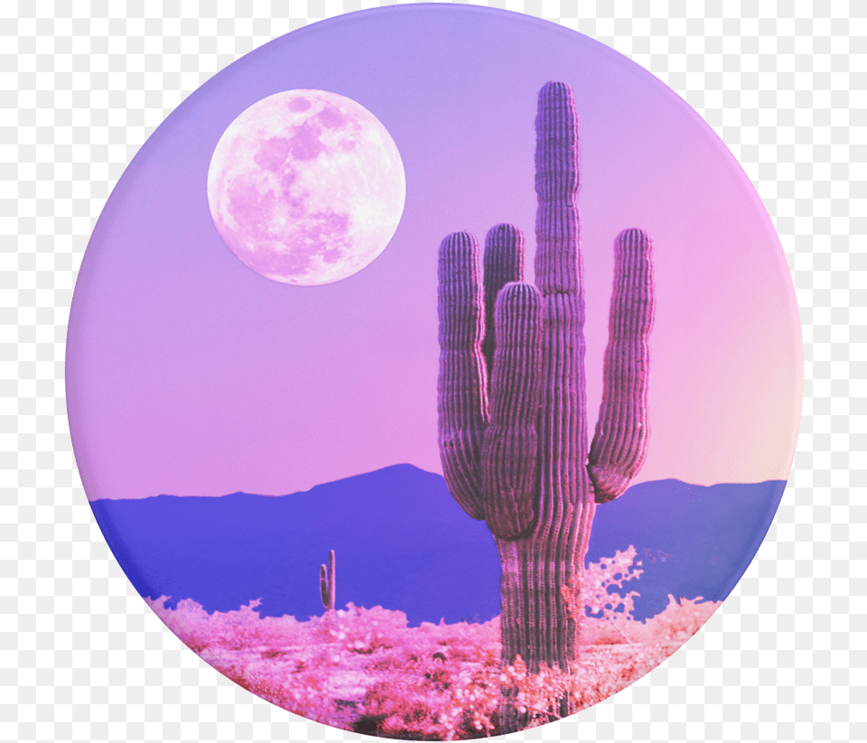 Cactus Moon, Astronomy, Nature, Night, Outdoors Png