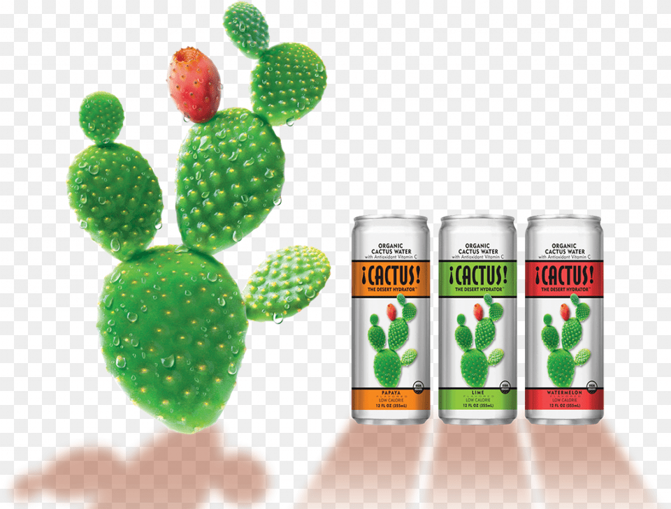 Cactus Organic Water Nopal, Can, Tin, Plant Free Png Download