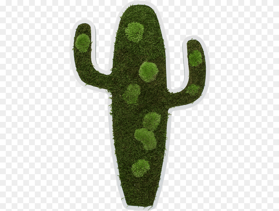 Cactus Pictogram 60 Cm Chlorophyta, Grass, Plant, Cross, Symbol Free Png Download