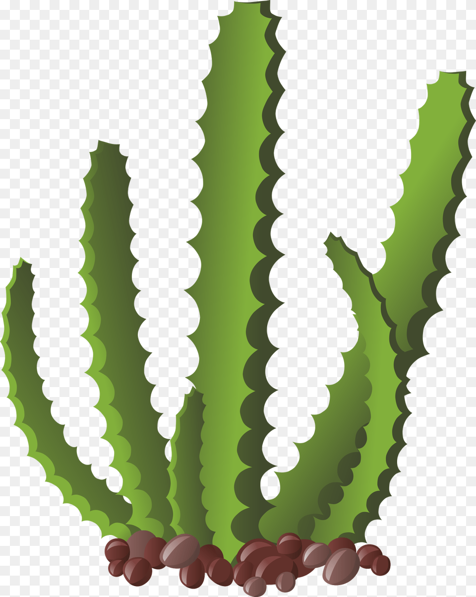 Cactus Pintado, Person, Aloe, Plant Free Png