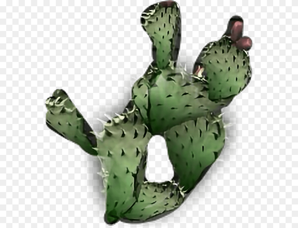Cactus Plant Eastern Prickly Pear Png