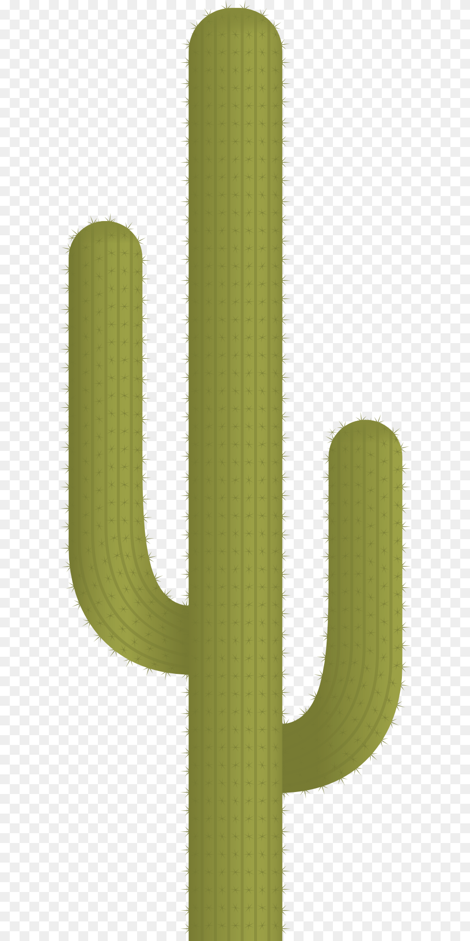 Cactus Plant Vector Clipart Plant Vector Cactus Free Transparent Png