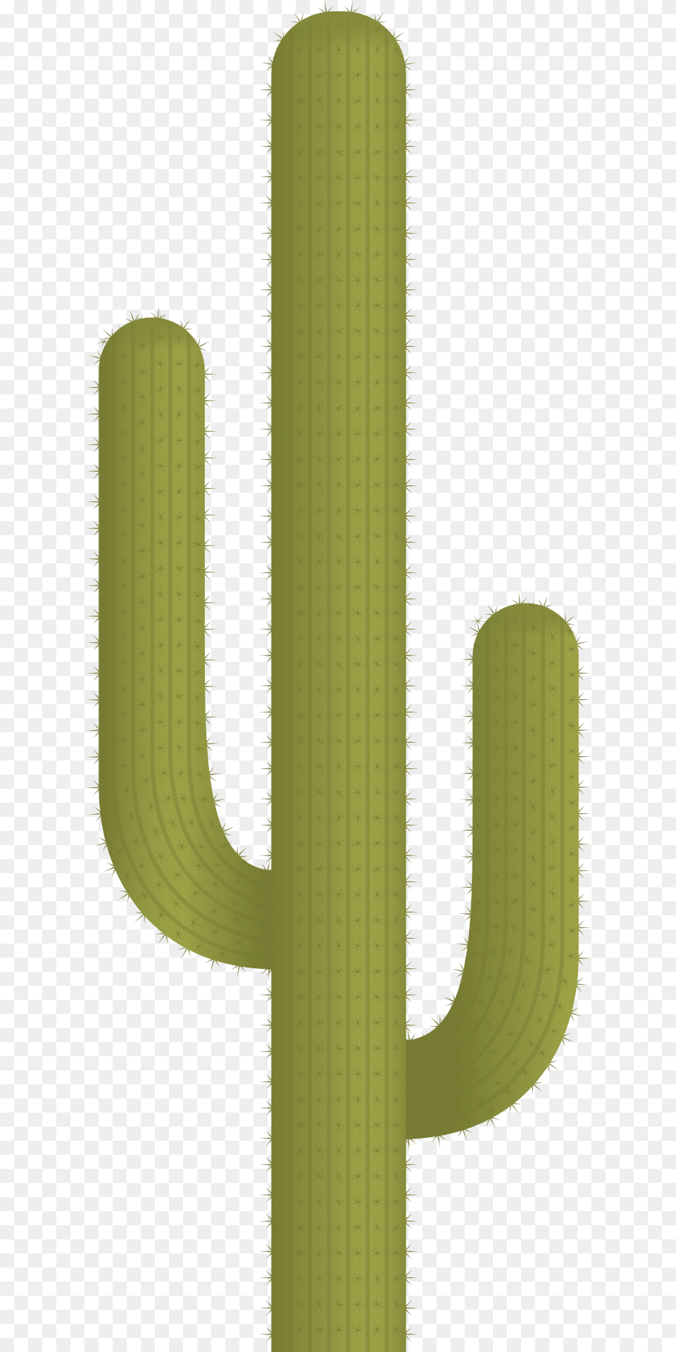 Cactus Plant Vector Image Free Transparent Png