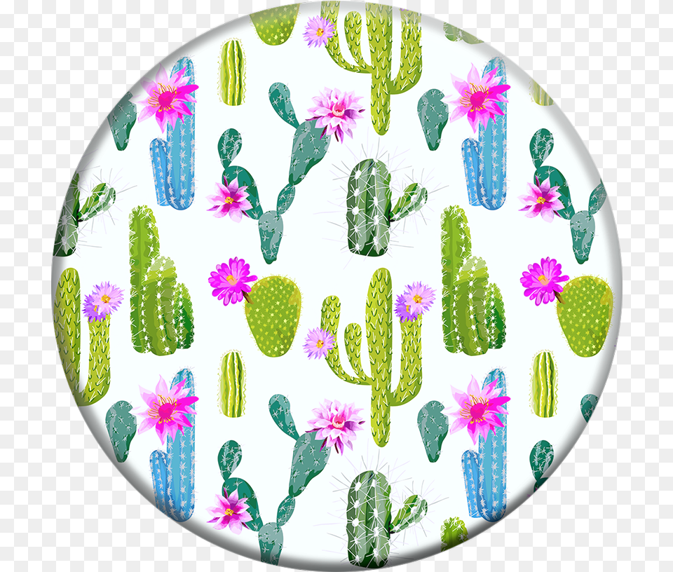 Cactus Popsocket With No Popsocket, Plate, Plant Png Image