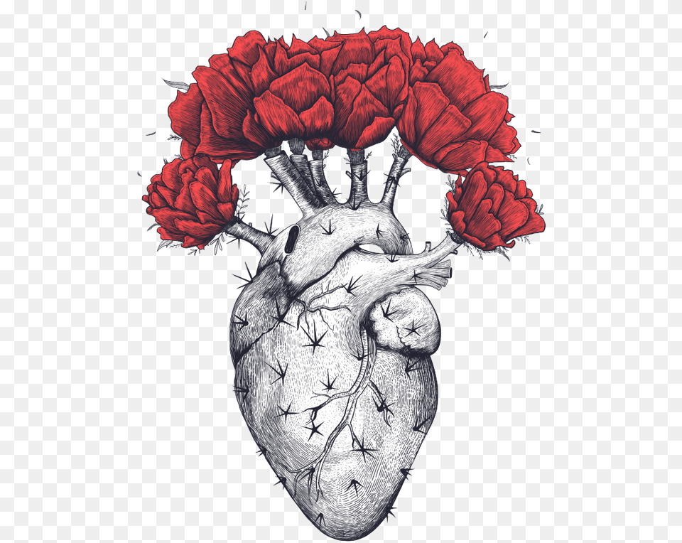 Cactus Print By Kodamorkovkart Cactus Heart, Plant, Flower, Carnation, Rose Png Image