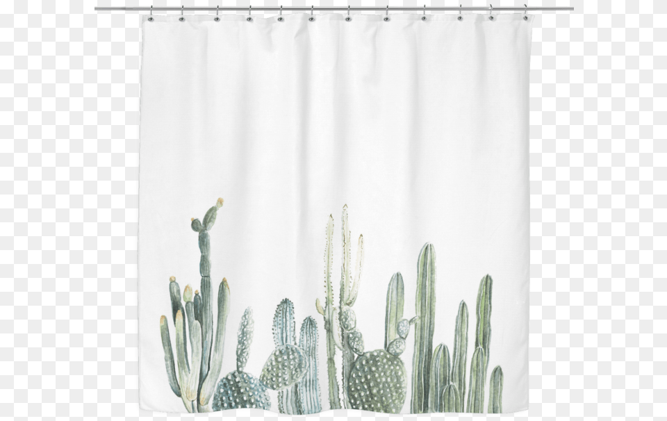 Cactus Puns Looking Sharp, Curtain, Plant, Shower Curtain, Food Free Png