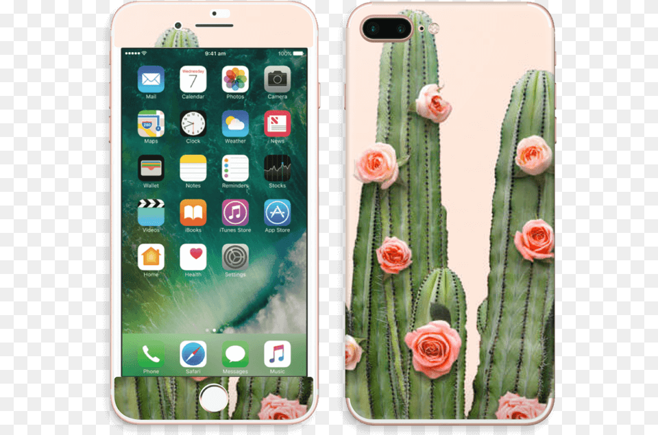 Cactus Rose Apple Iphone 7 4g 128gb Plus Red, Electronics, Mobile Phone, Phone, Flower Free Transparent Png