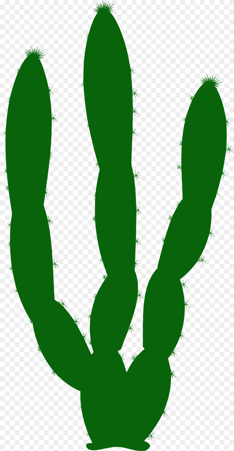 Cactus Silhouette, Plant Free Png