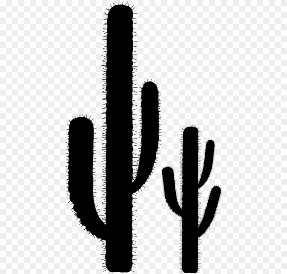 Cactus Silhouette Cactus, Gray Free Png Download