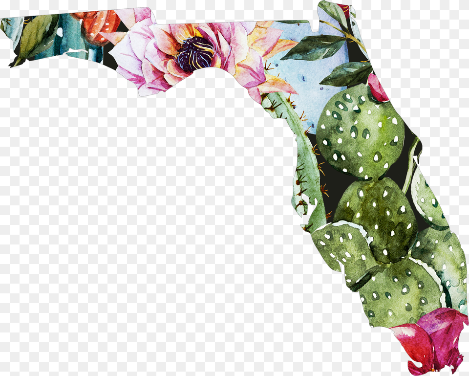 Cactus State Florida Transparent Png