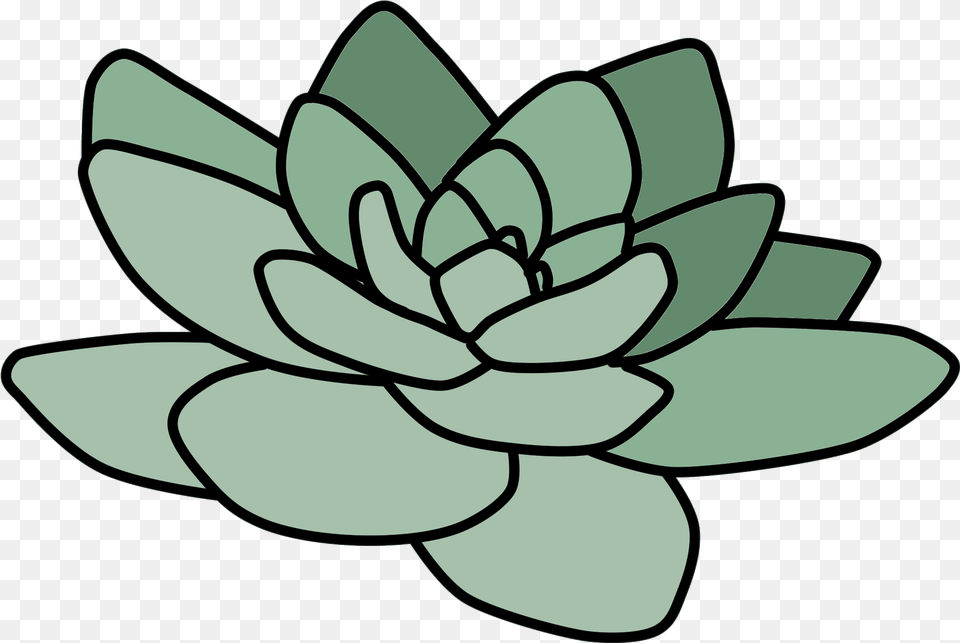 Cactus Suculent Tumblr Plant Green Cactus Tumblr, Dahlia, Flower, Leaf, Device Png Image