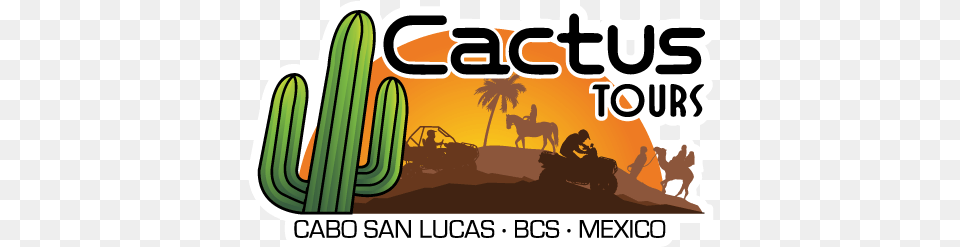 Cactus Tours Cactus Atv, Person, Animal, Horse, Mammal Png Image