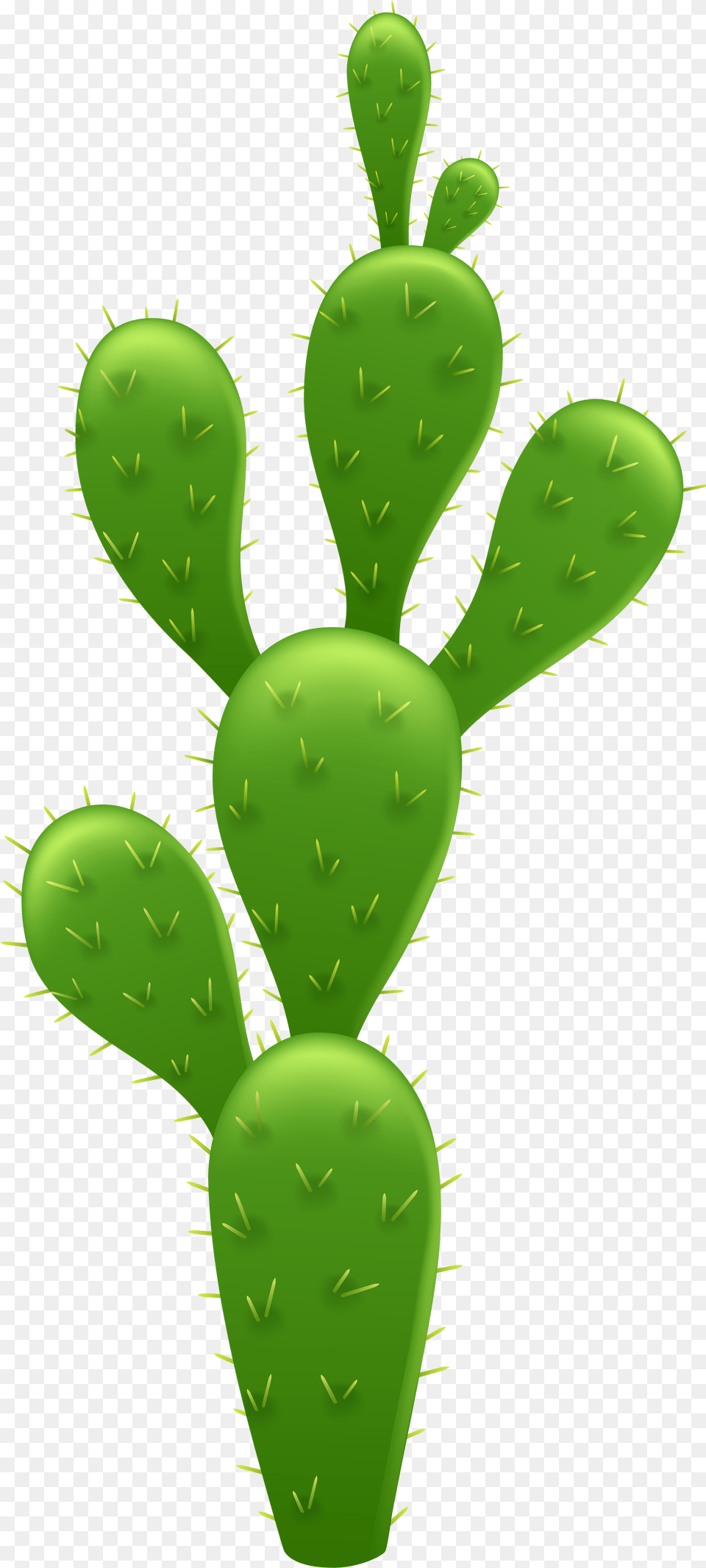 Cactus Transparent Background Transparent Background Cactus Clipart, Plant Png Image