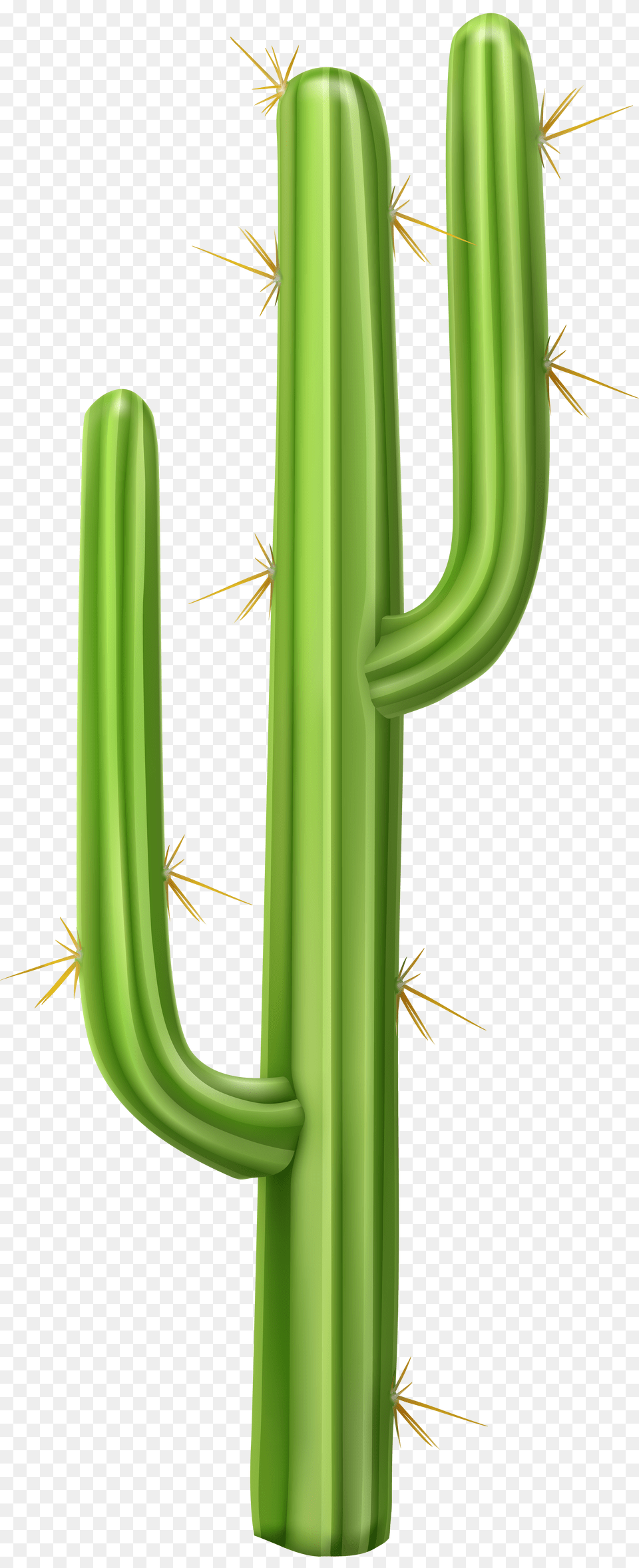 Cactus Transparent Clip Art, Plant Free Png Download