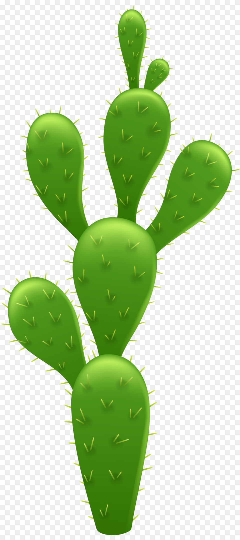 Cactus Transparent Clip Art, Green, Plant Png Image