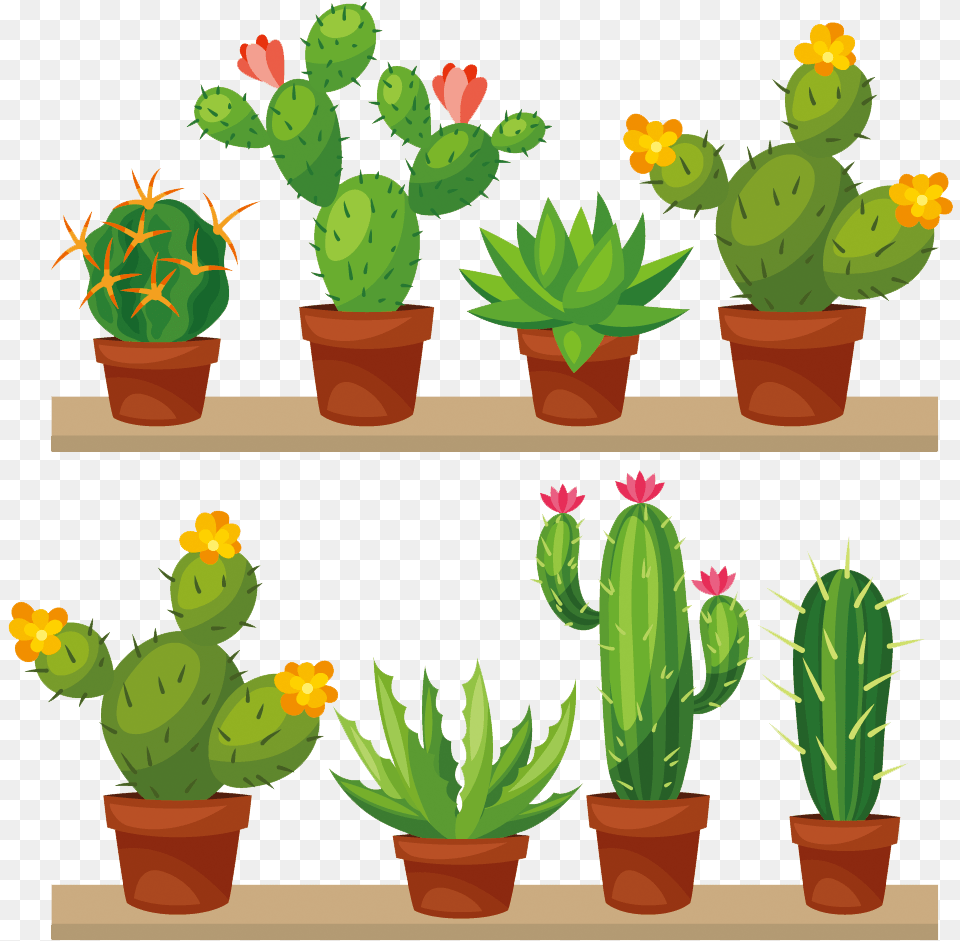 Cactus Transparent Clip Art Cactus Succulent Clip Art, Plant, Potted Plant Png Image