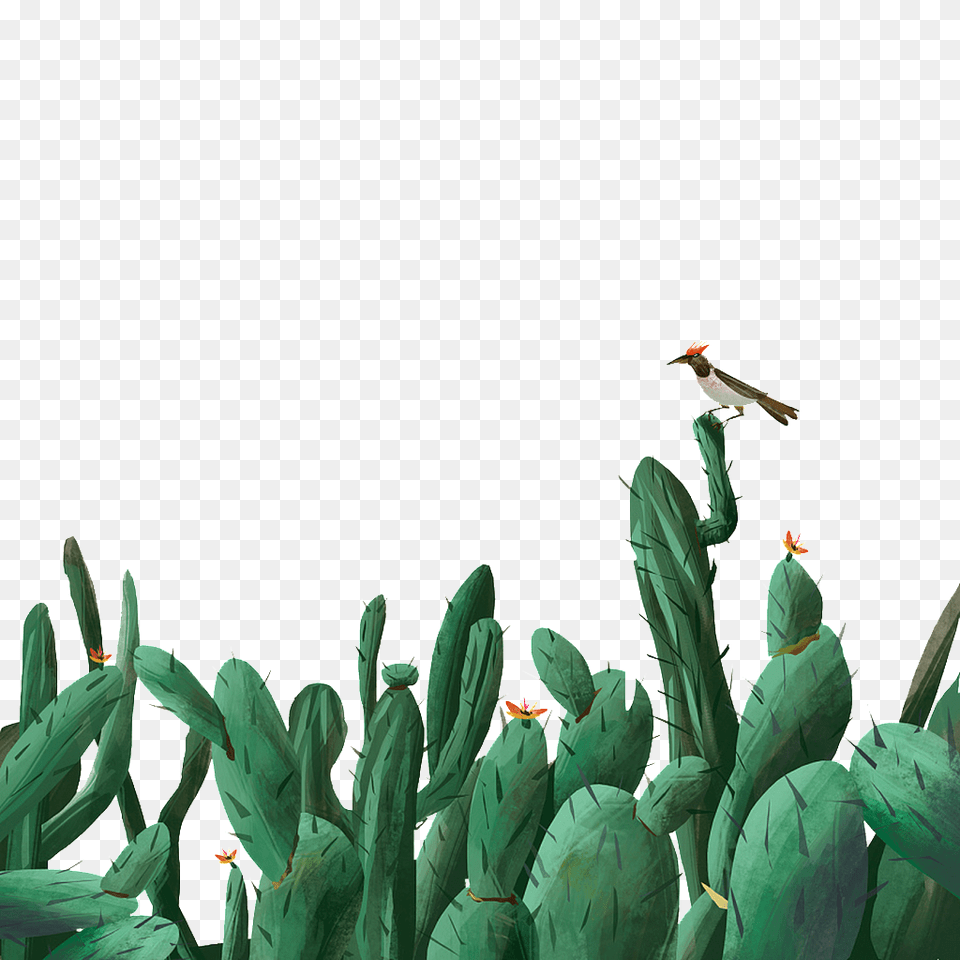 Cactus Transparent Vector, Animal, Bird, Flying Free Png Download