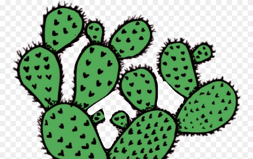 Cactus Tumblr Green Tumblrcactus Stay Positive, Plant, Face, Head, Person Png