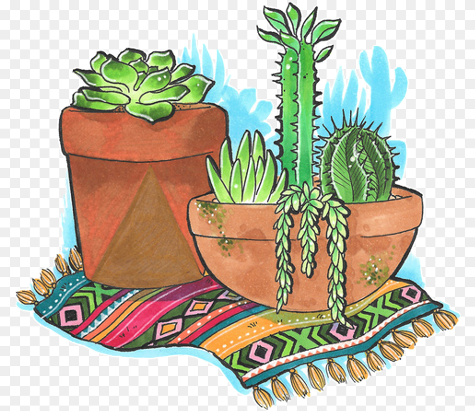Cactus Tumblr Kakts, Plant, Potted Plant, Jar, Planter Free Transparent Png