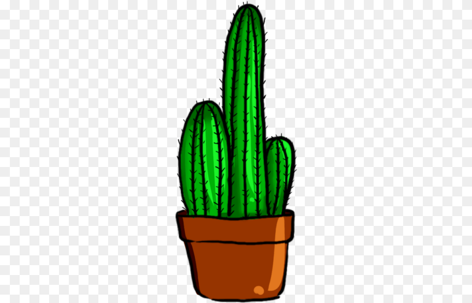 Cactus Vector Plant Png Image