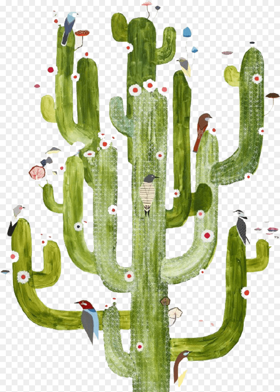 Cactus Vector T Shaped, Plant, Animal, Bird Free Transparent Png