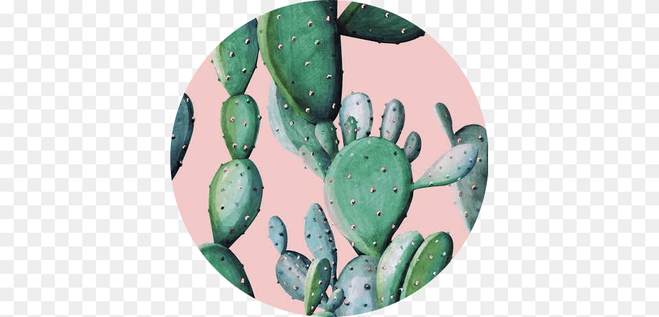 Cactus Wallpaper Watercolor, Photography, Plant Free Png